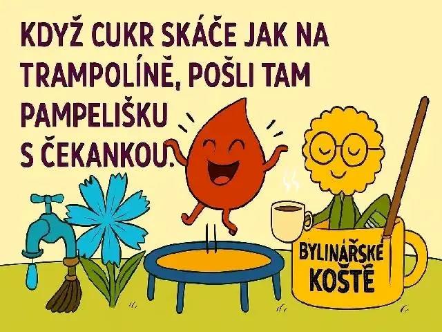 Bylinářské koště na cukr v krvi